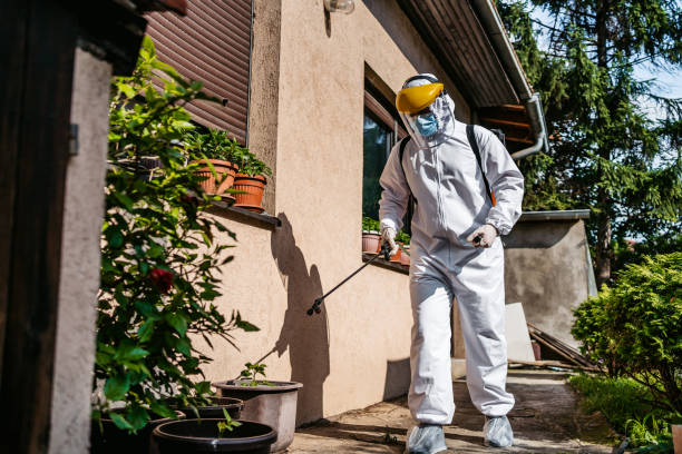 Best Residential Pest Control  in Hamshire, TX