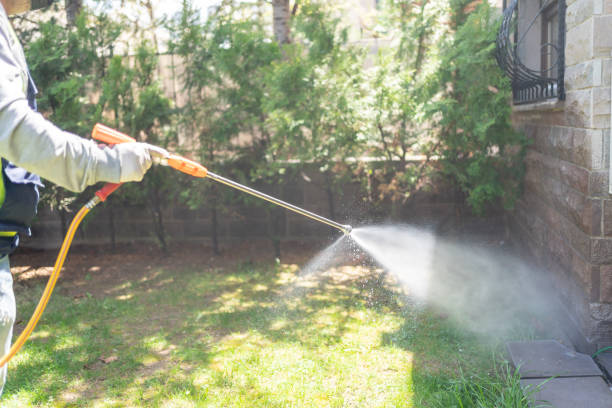 Best Best Pest Control Companies  in Hamshire, TX