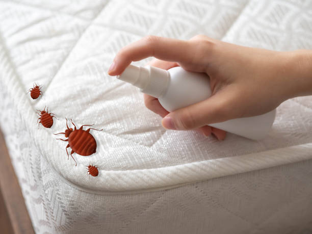 Best Cockroach Control Services  in Hamshire, TX